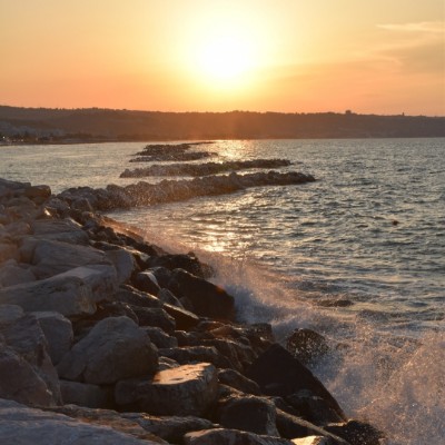 Francesca Calvani post 1