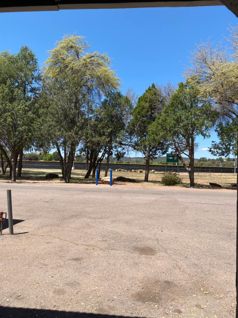 walking near me in Rumsey Park in winter