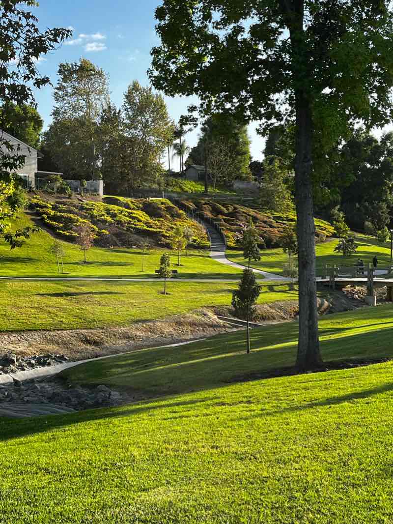walking near me in Creek Park in winter