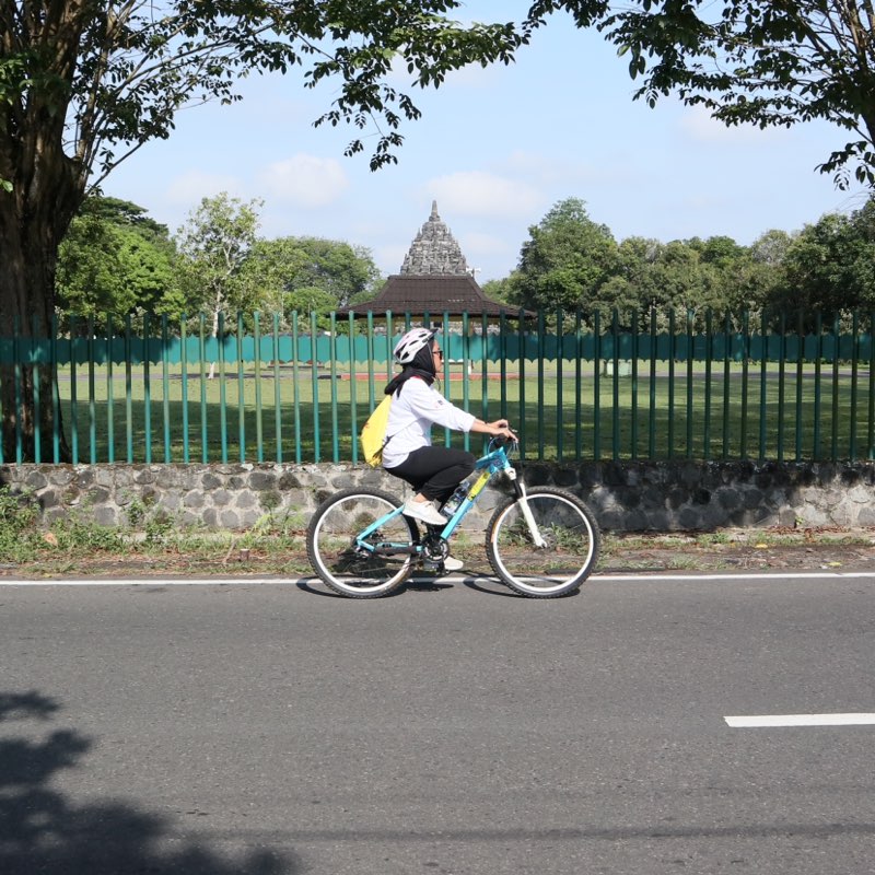 400523082 - Savira Vania