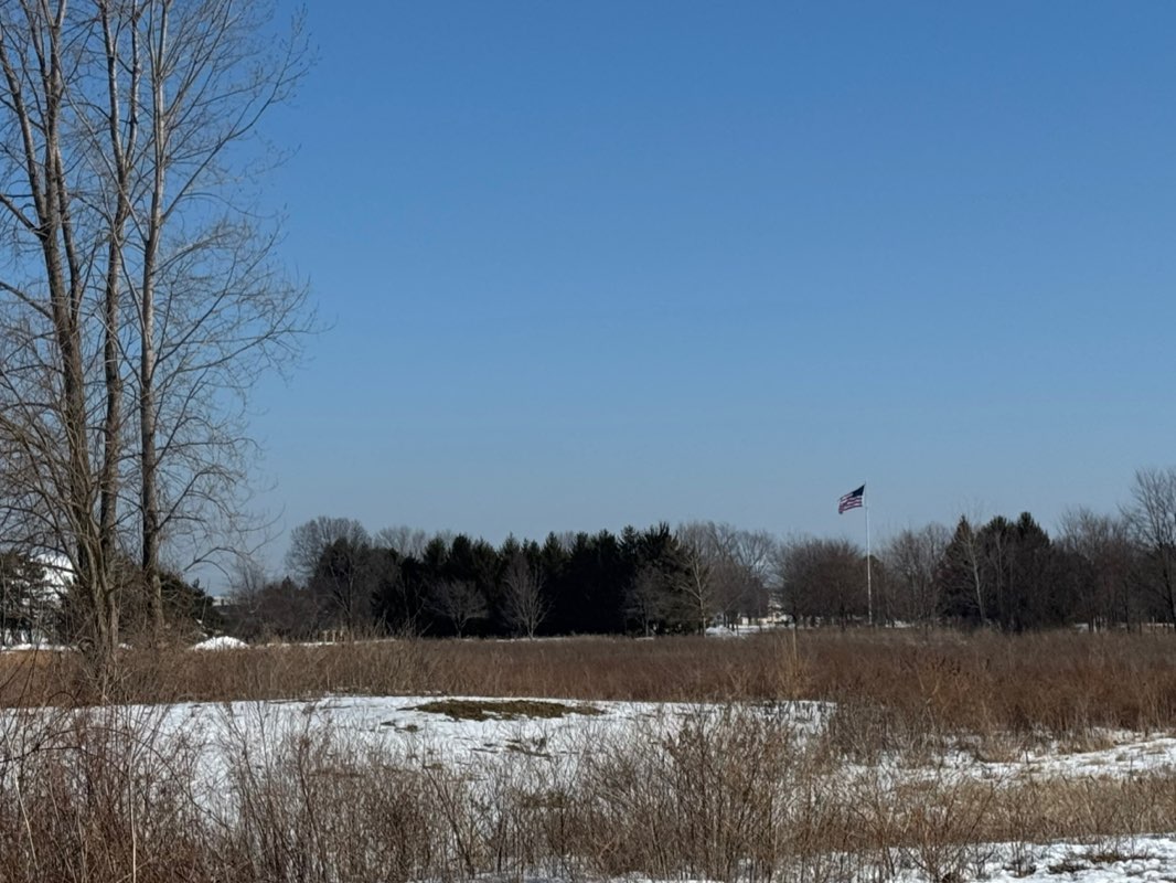 walking near me in Homestead Park in winter