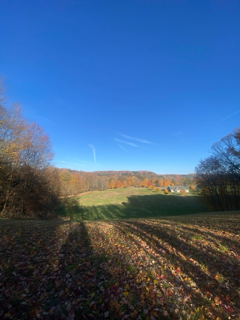 walking near me in Sprague Brook County Park in winter