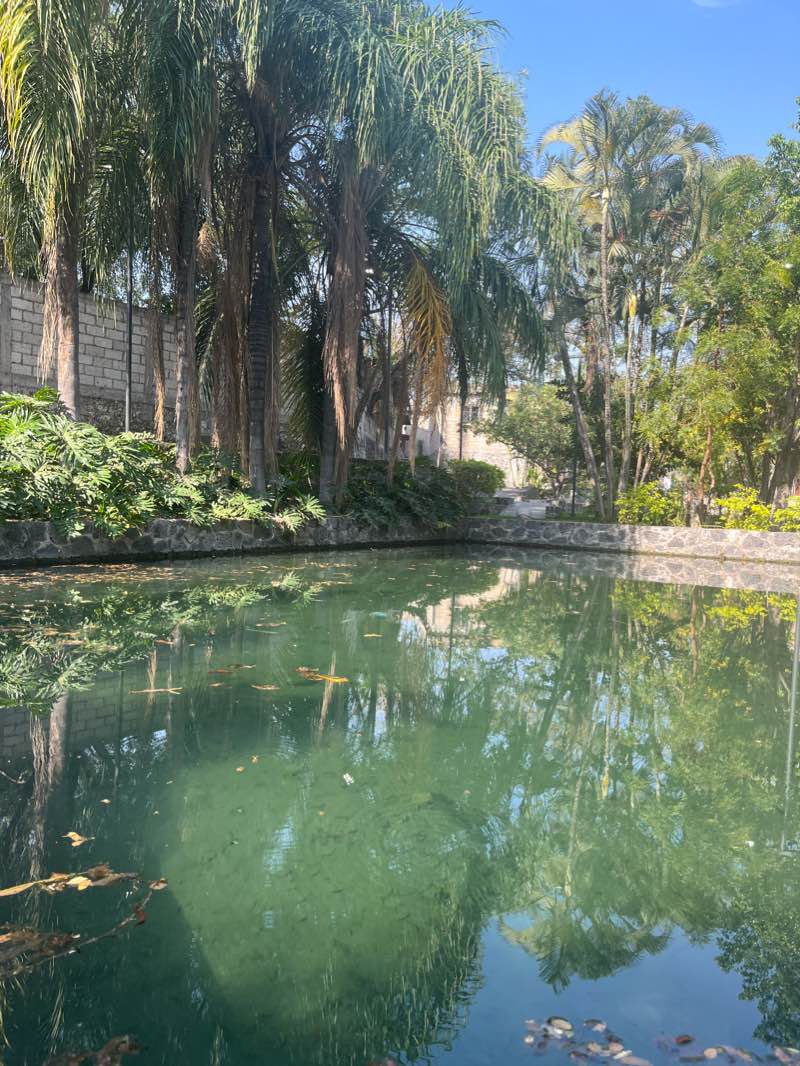 walking near me in Campo deportivo La Perseverancia in winter