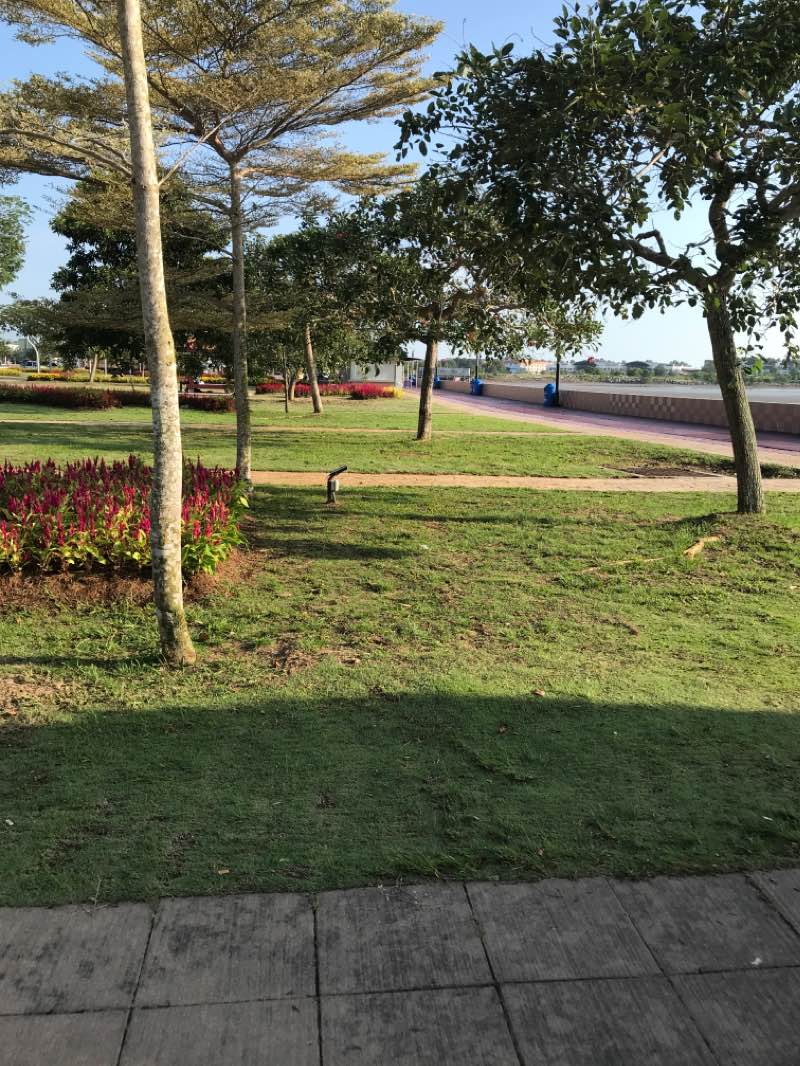 walking near me in Pontian Seaside Park in winter