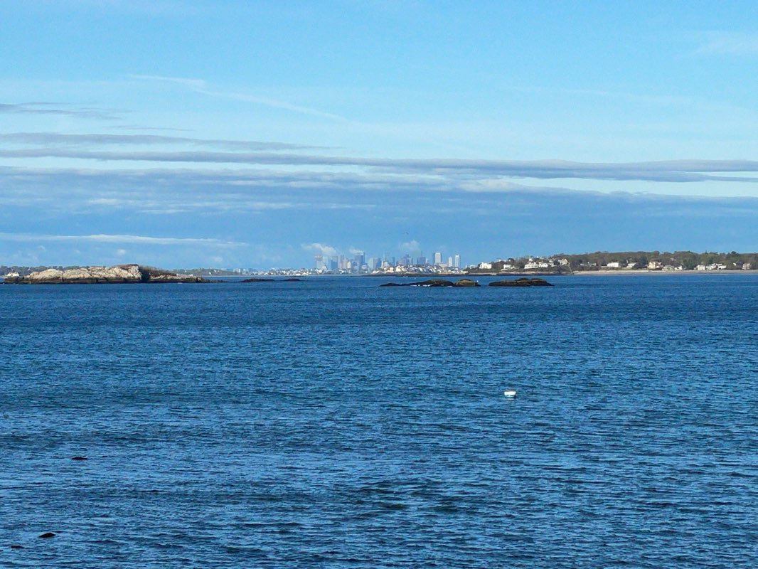 walking near me in Chandler-Hovey Park in winter