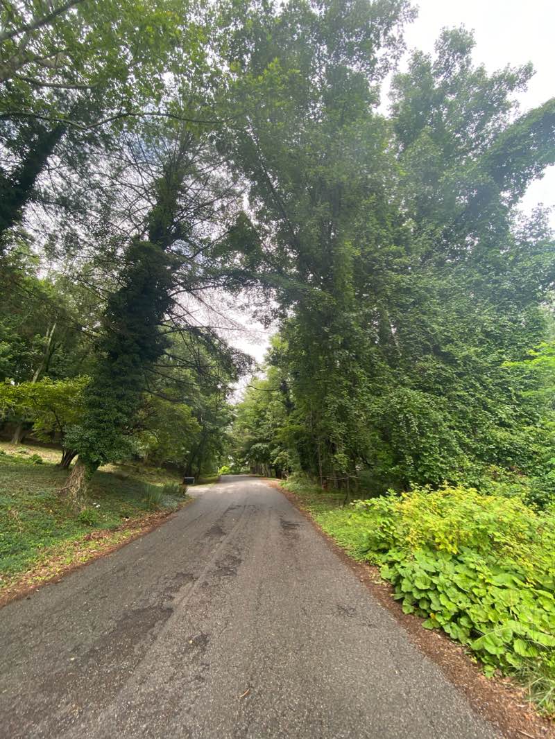 walking near me in Riverway Park in winter