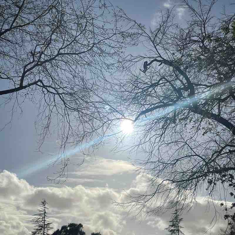 Mattie Cramer post 2