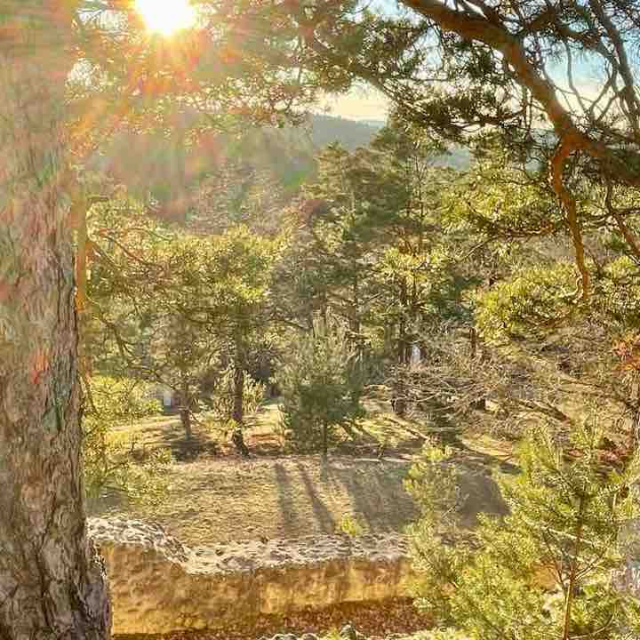 Die Selbstläufer ☄️🏃‍♀️💥 PacerKumpel post image