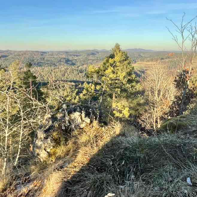 Die Selbstläufer ☄️🏃‍♀️💥 PacerKumpel post image