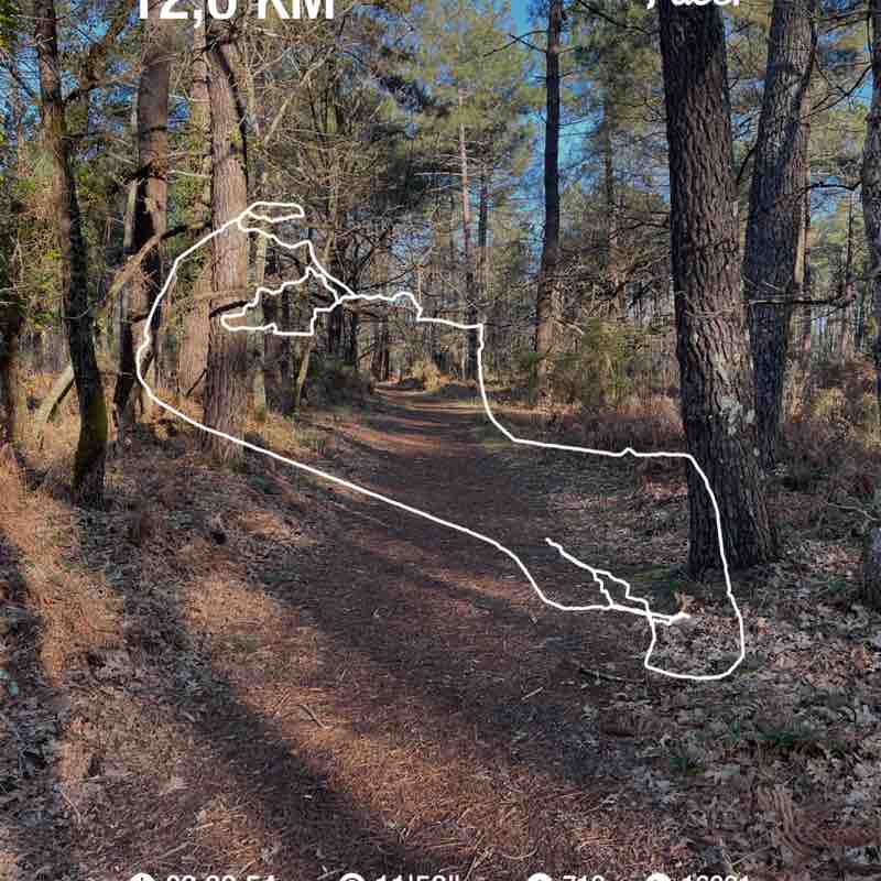 Rob Run Olivier Bon post 1