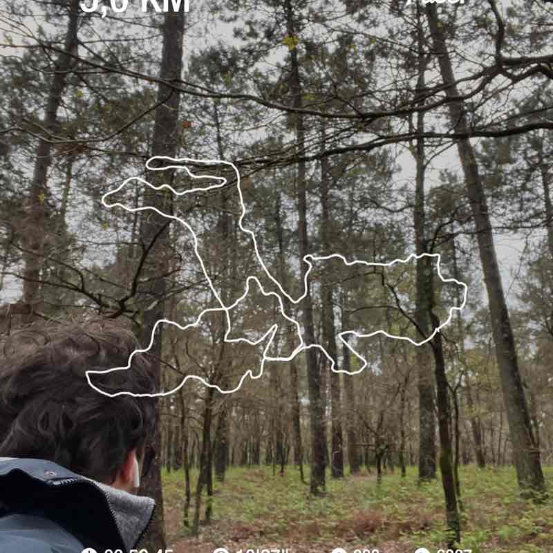 Rob Run Olivier Bon post 1