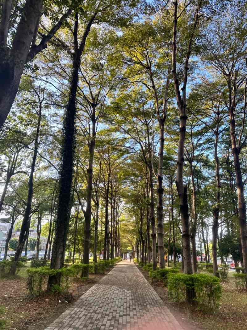 walking near me in 大智公園 in winter