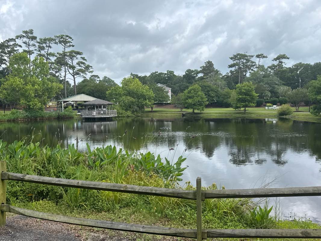 walking near me in McLean Park in summer
