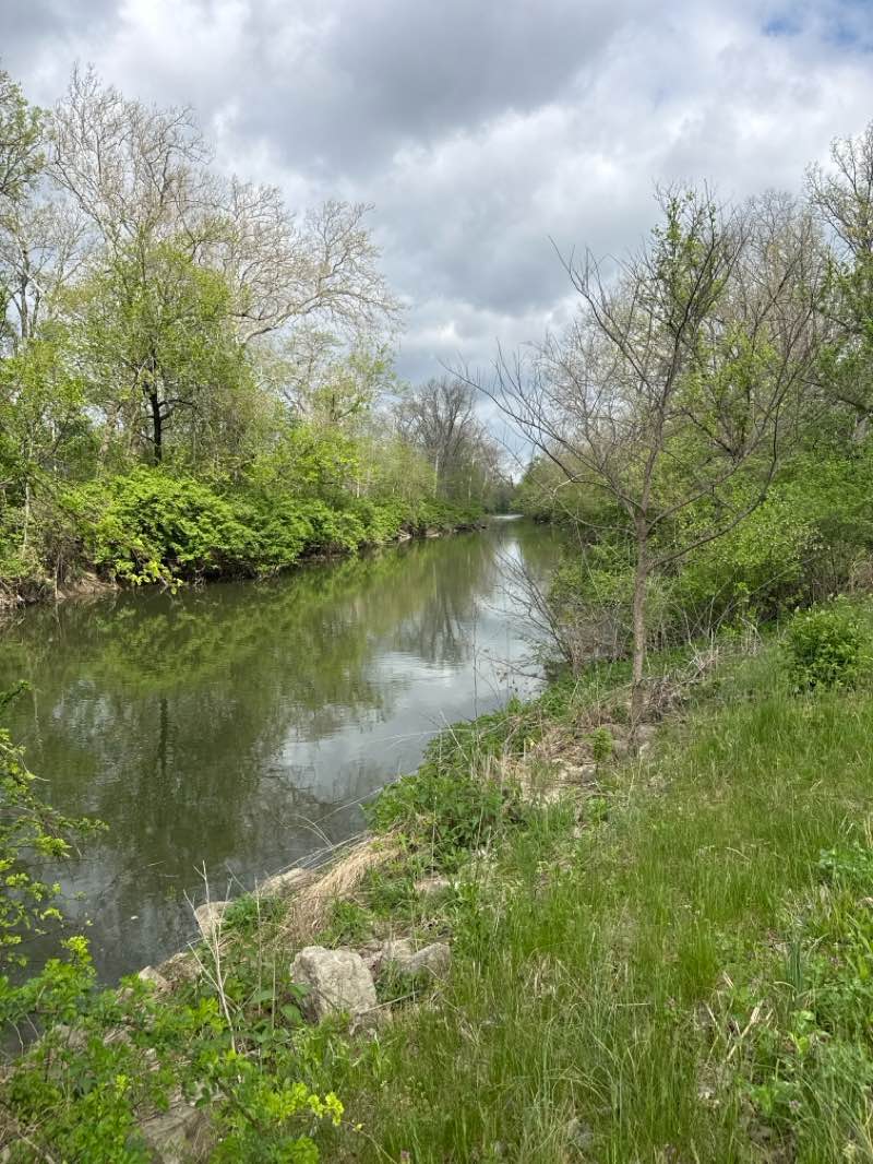 walking near me in Walton Park in spring