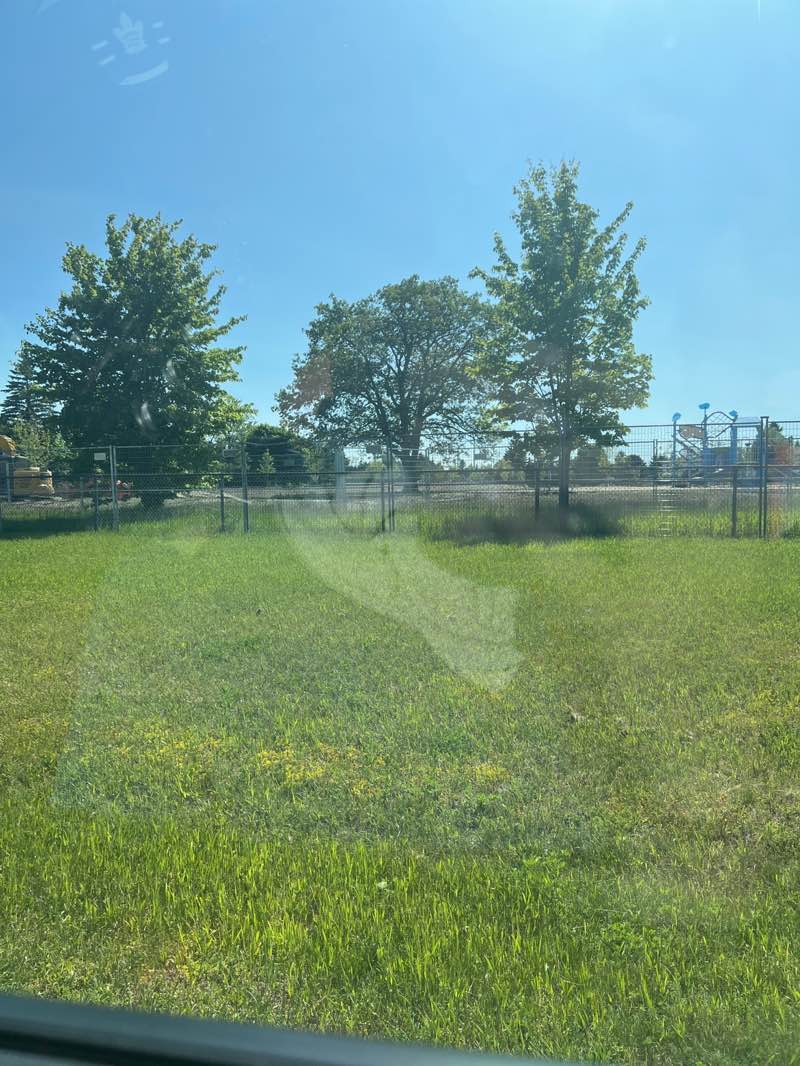 walking near me in Pontypool Park in summer
