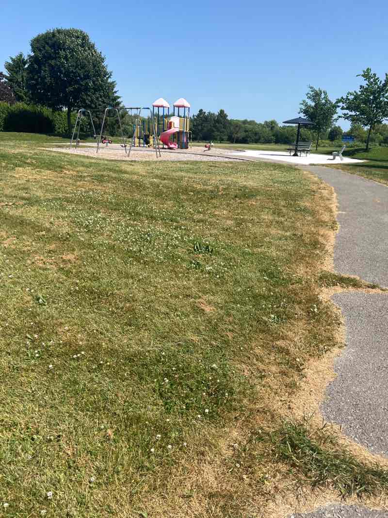 walking near me in Corbett's Park in summer