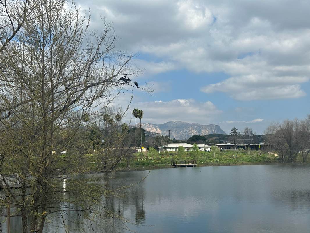 walking near me in Lindo Lake County Park in winter