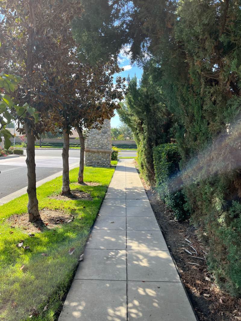 walking near me in Palmina Park in winter