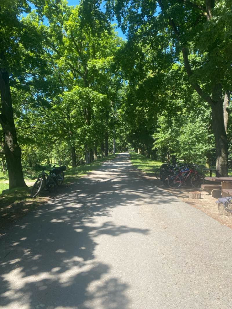 walking near me in Komenského sady in summer