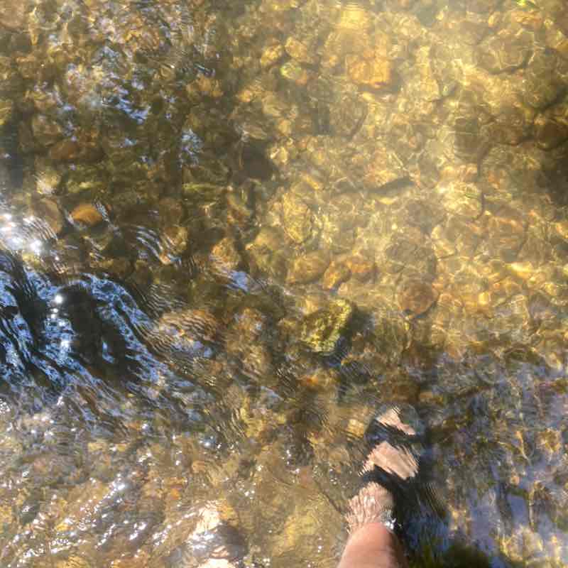 🌷SPRING STEPS🌷 Andy post image