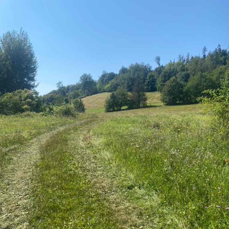 🌷SPRING STEPS🌷 Andy post image