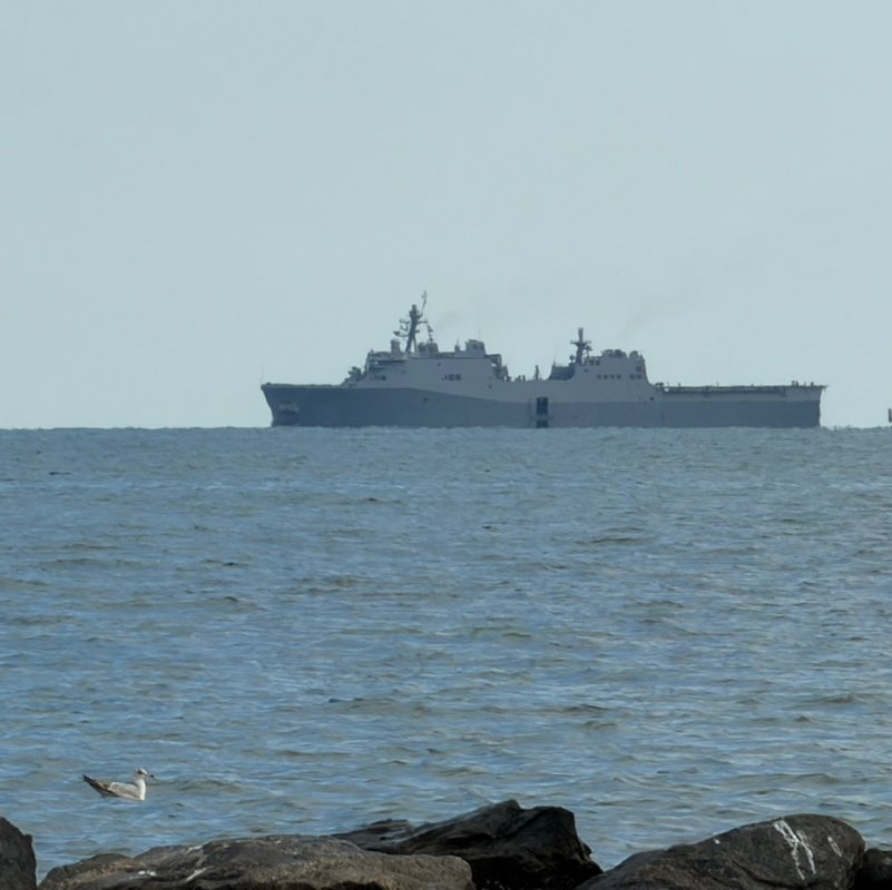 Joanna Heeney post 1