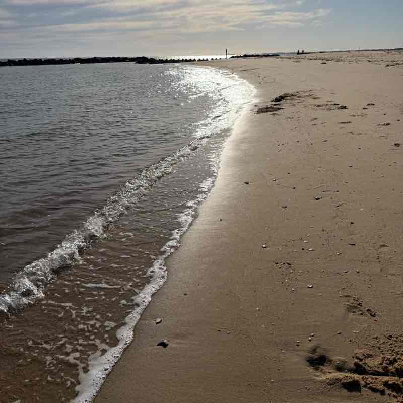 Joanna Heeney post 1