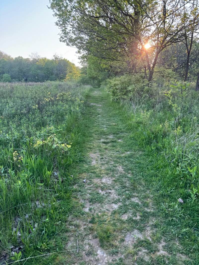 walking near me in Ritchey Woods Nature Preserve in spring