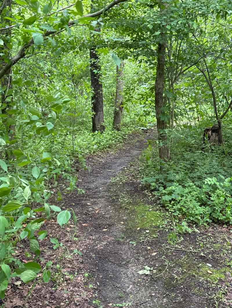 walking near me in Dr. James A Dillon Park in spring