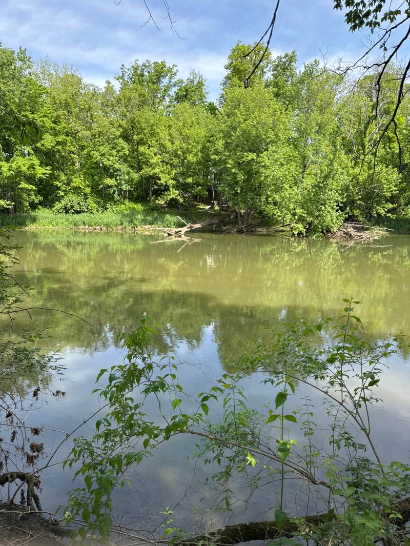 walking near me in Lafayette Trace Park in spring