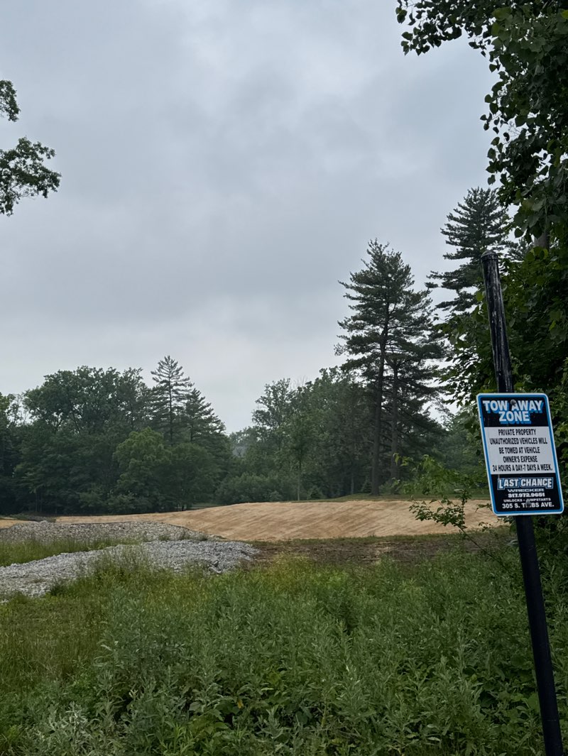walking near me in Meadow Park in summer