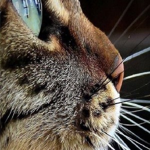 MICHAEL  (sunny) UK 🌞 profile