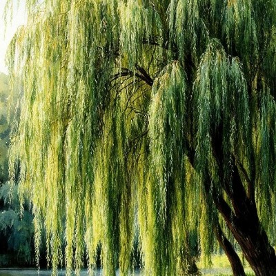 Irene michael (sunny) 👍 post image