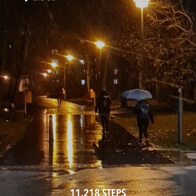 Walking Buddies 😘💫💫👣🎵 michael (sunny) 👍 post image