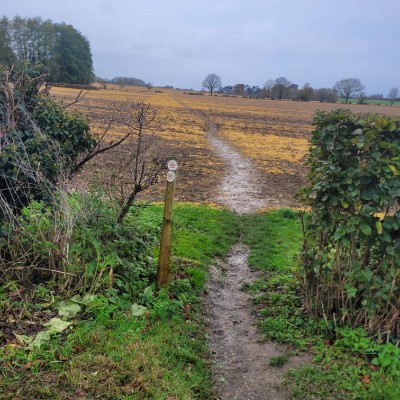 walkers walkers post image