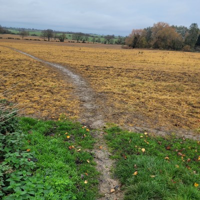 walkers walkers post image