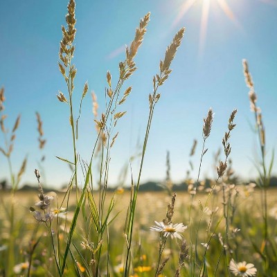 Happy laughing times😂😜😂🌺 MICHAEL👍 post image