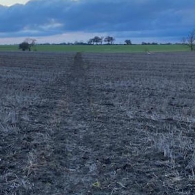 🇬🇧UNITED  KINGDOM🇬🇧 MICHAEL👍 post image