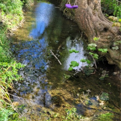 Velocity Zero MICHAEL  (sunny) UK 🌞 post image