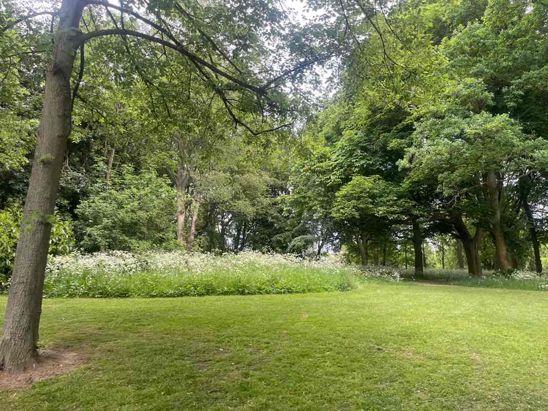 walking near me in Crow Nest Park in spring