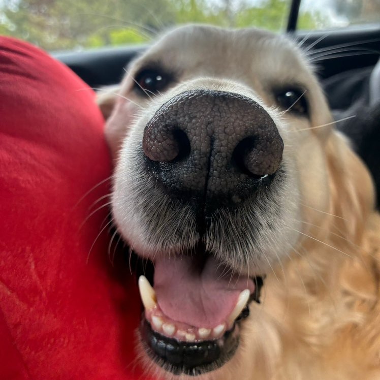 charlie