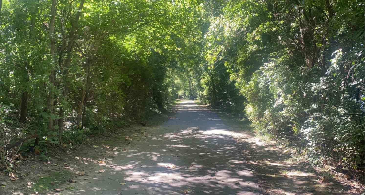 walking near me in Joyce Park in winter