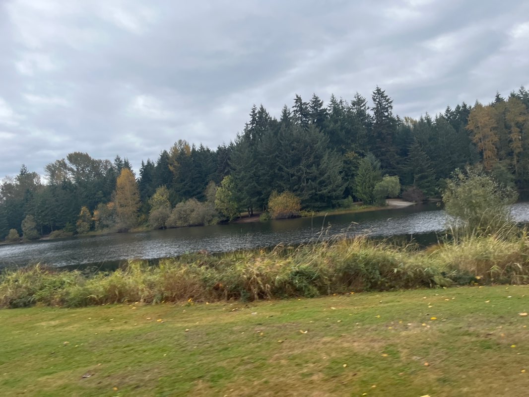 walking near me in Sunrise Park in winter