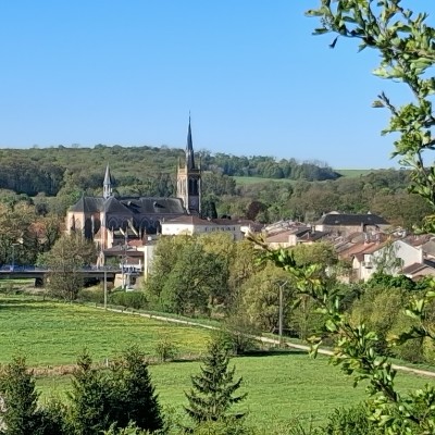 Je Vois la Vie en Vosges Serge Camelin post image