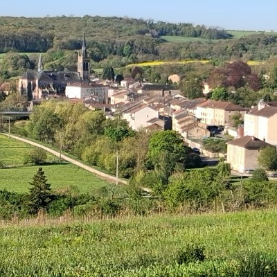 Je Vois la Vie en Vosges Serge Camelin post image