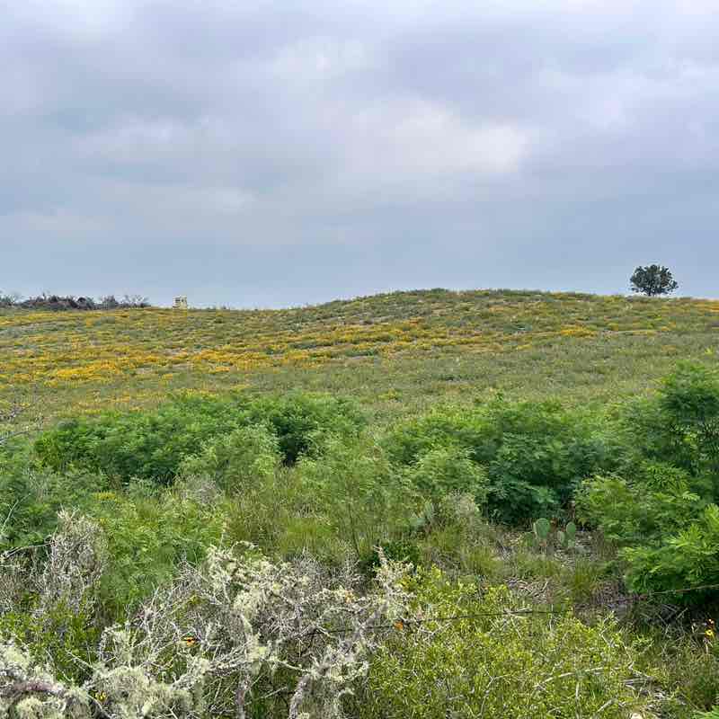 Yvonne Hudson post 2