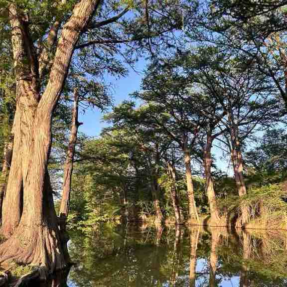 Yvonne Hudson post 1