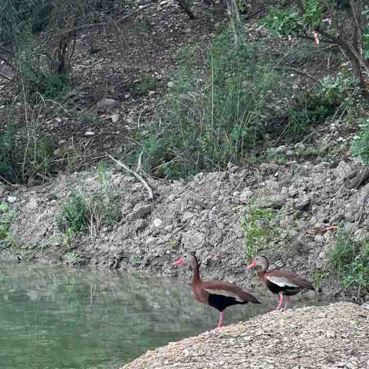 Yvonne Hudson post 3