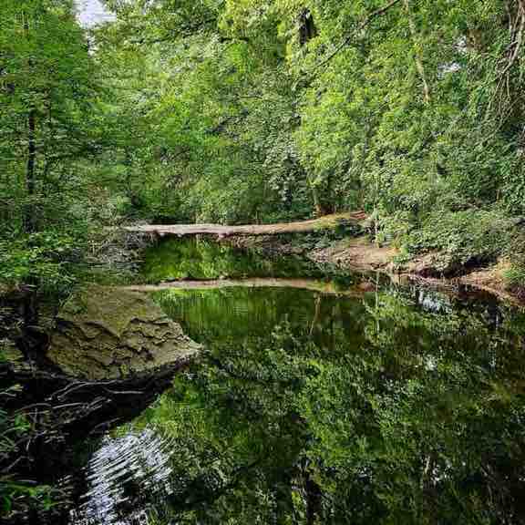 Yvonne Hudson post 1