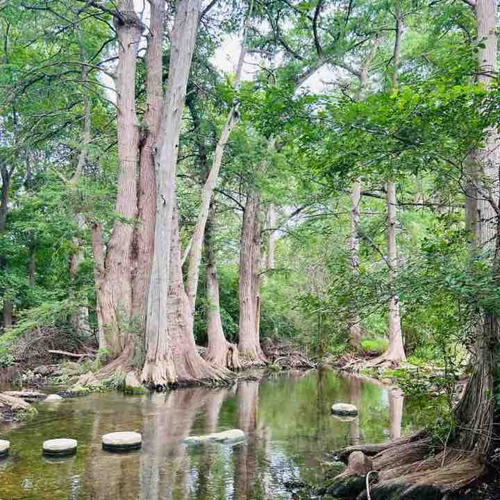 Yvonne Hudson post 3